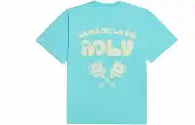 acme de la vieADLV logoT