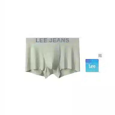 Lee 1