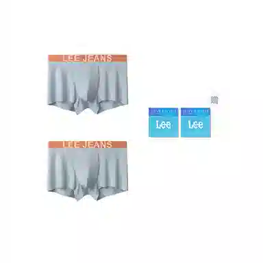 Lee 2