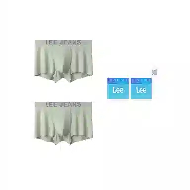 Lee 2