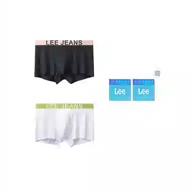 Lee 2