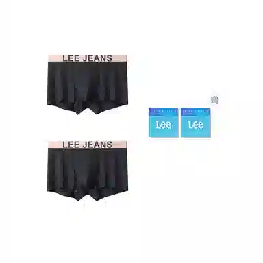 Lee 2
