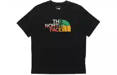 THE NORTH FACE logo T