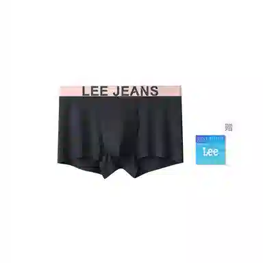 Lee 1