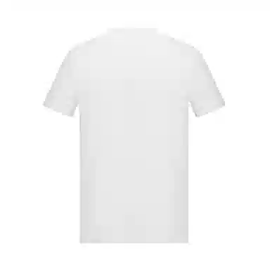 DESCENTE TRAINING logoT