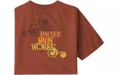 patagonia T