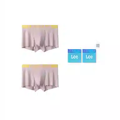 Lee 2