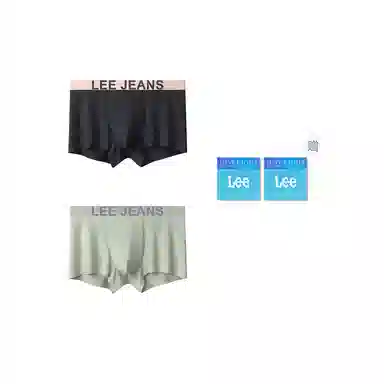 Lee 2