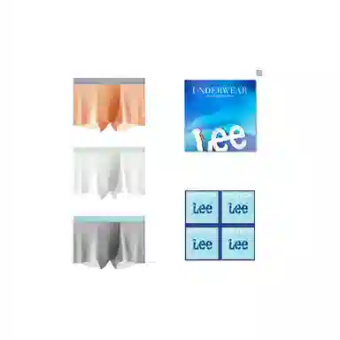 Lee 3