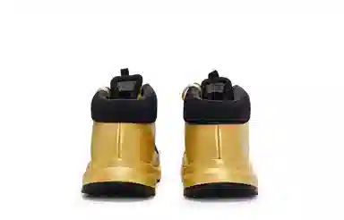 Arcteryx Aerios Fl 2 Black Gold