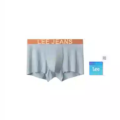 Lee 1