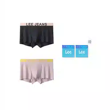 Lee 2