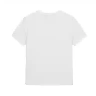 Palladium VINTAGE T