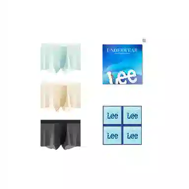 Lee 3