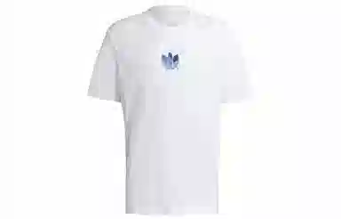 adidas originals Loungewear Adicolor 3d T