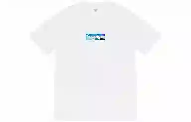 Supreme x Emilio Pucci Box Logo Tee