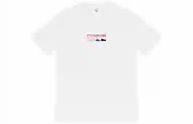 Supreme x Emilio Pucci Box Logo Tee
