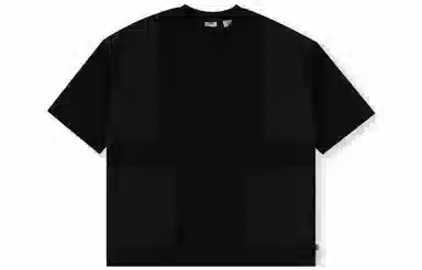 Levis T