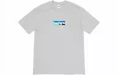 Supreme x Emilio Pucci Box Logo Tee