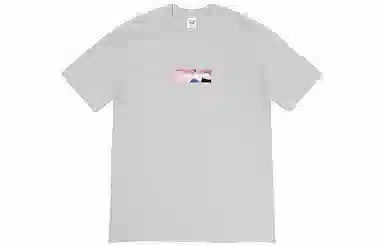 Supreme x Emilio Pucci Box Logo Tee