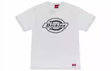 Dickies SS21 logoT