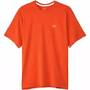 Arcteryx Cormac Crew Ss LogoT