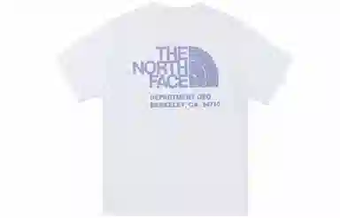 THE NORTH FACE logo T