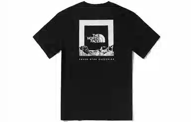 THE NORTH FACE T