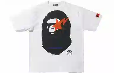 A BATHING APE x HERON PRESTON