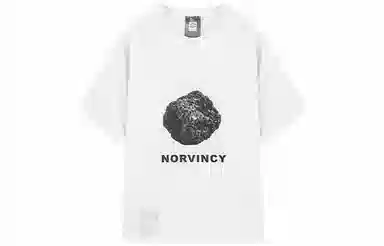 NORVINCY T-Shirt