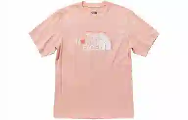 THE NORTH FACE LogoT