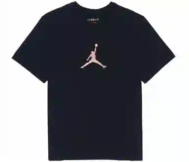 Jordan Sport DNA LogoT