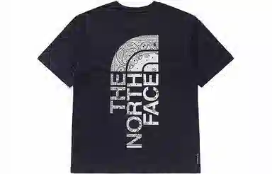 THE NORTH FACE SS SS22 Logo T
