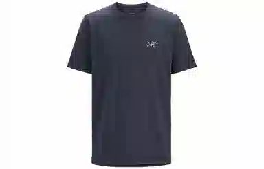 Arcteryx Captive Arc'Word Logo T