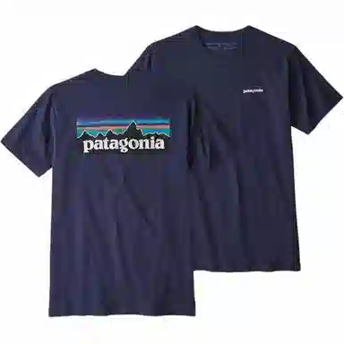 patagonia T