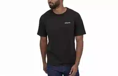 patagonia T