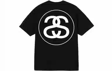 Stussy Big Link Tee T