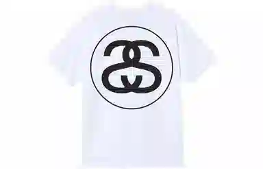 Stussy Big Link Tee T