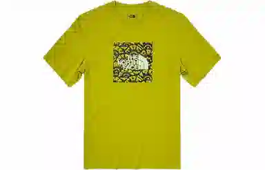 THE NORTH FACE T