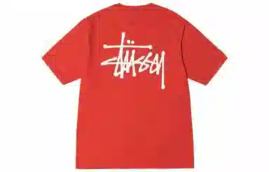 Stussy Basic Pigment Dyed Tee