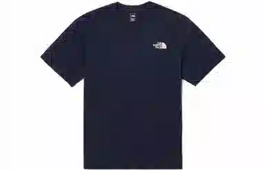 THE NORTH FACE Nse Box Logo Ssrtee Logo T