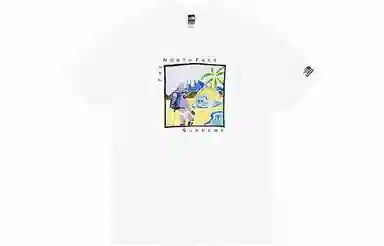 Supreme x The North Face Sketch S/S Top