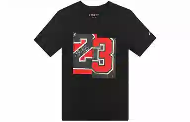 Air Jordan logoT