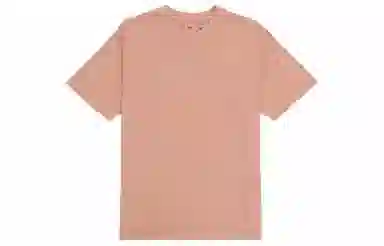 Levis SS22 T