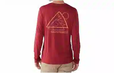 patagonia T