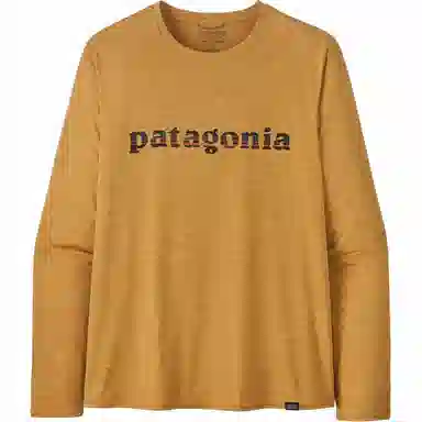 patagonia T