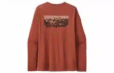 patagonia T