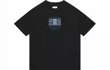FEAROM T