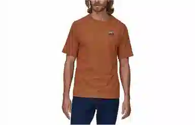 patagonia T