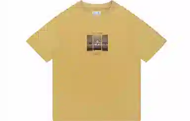 FEAROM T